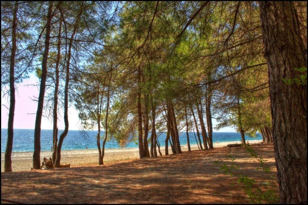 Коттеджные Домики Лдзаа Lidzava المظهر الخارجي الصورة